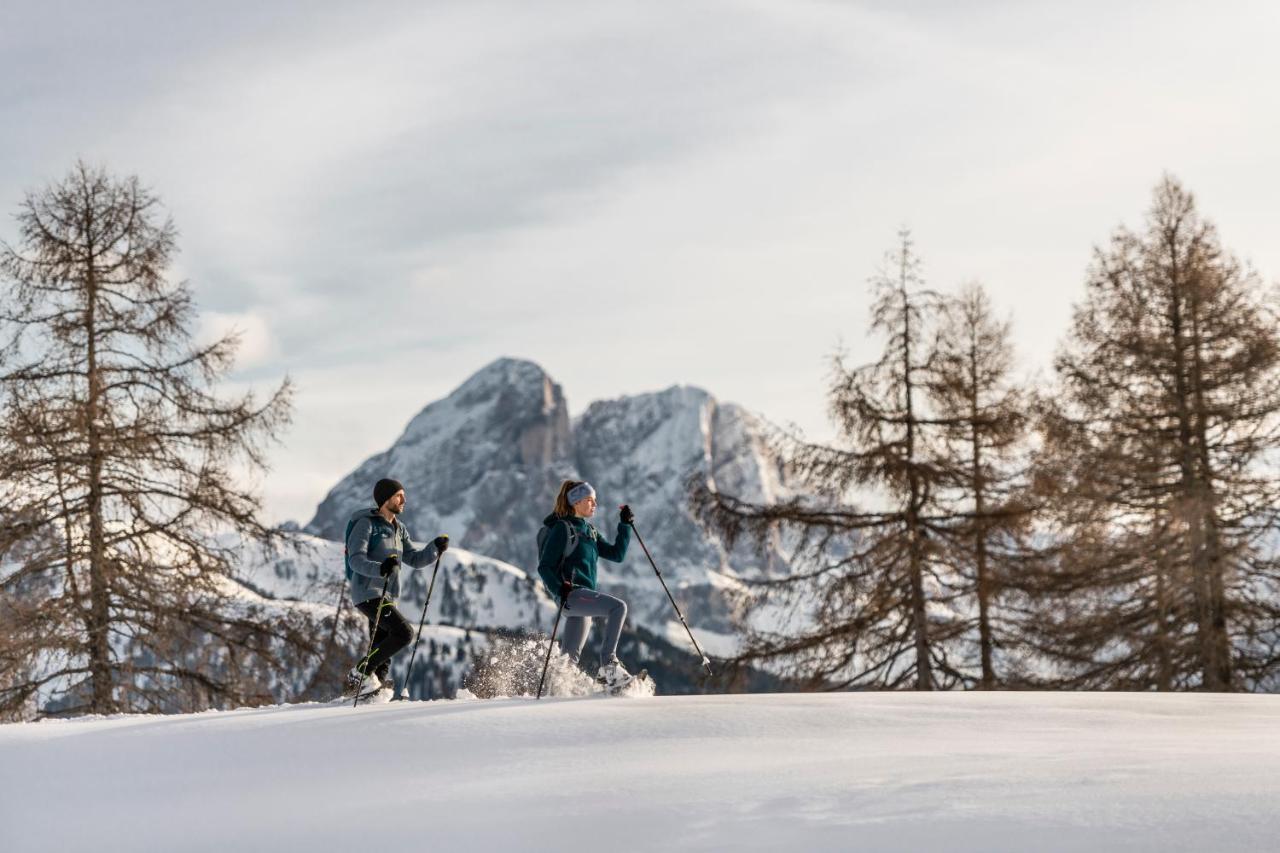 View House - Chalet Goyen シェーナ エクステリア 写真